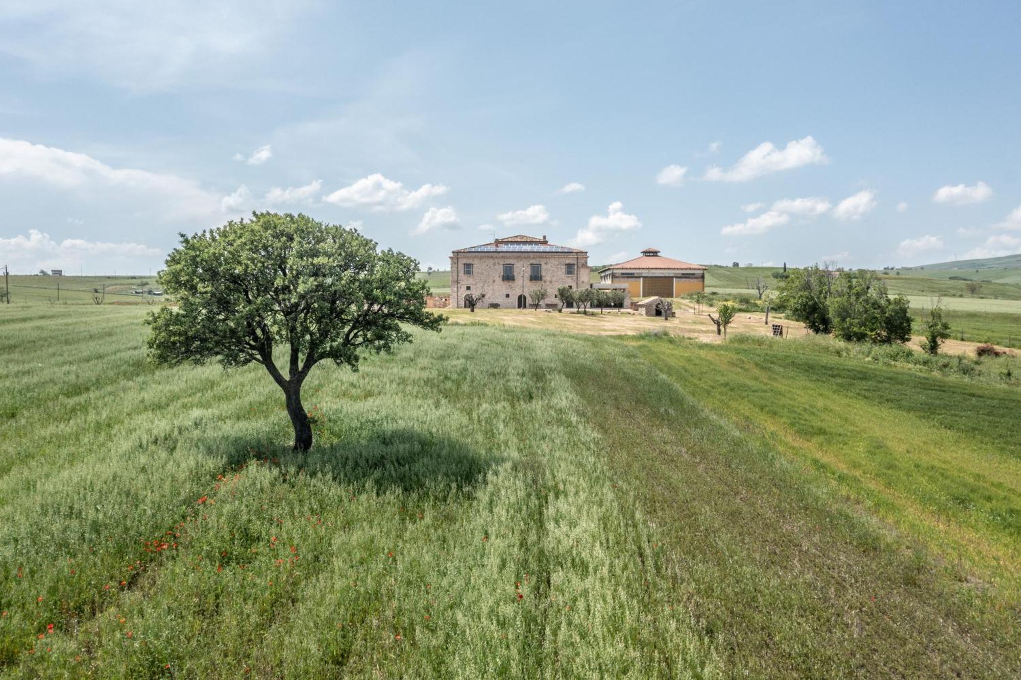 Апартаменты Dimora Schioppo - Irpinia Калитри Экстерьер фото