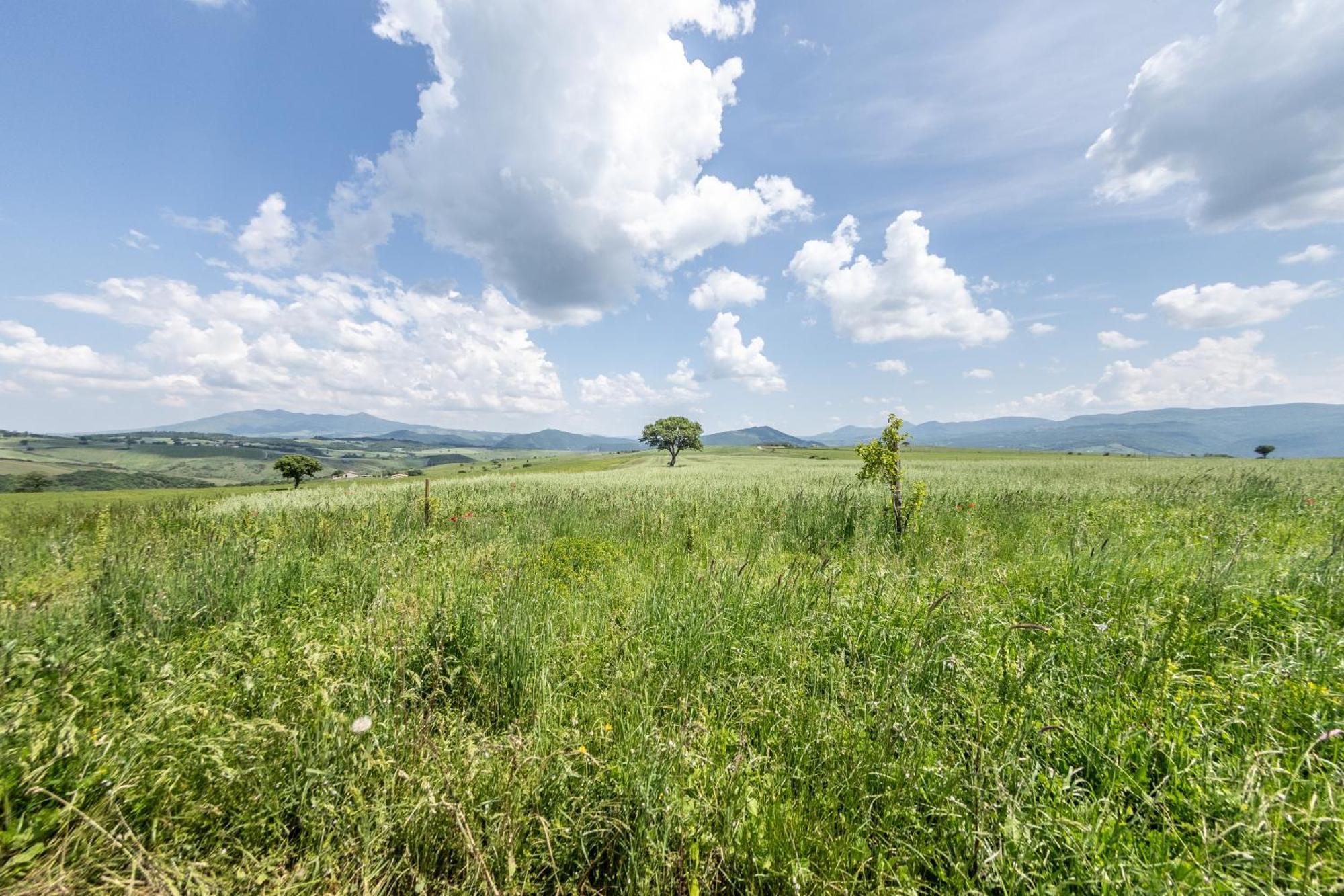 Апартаменты Dimora Schioppo - Irpinia Калитри Экстерьер фото